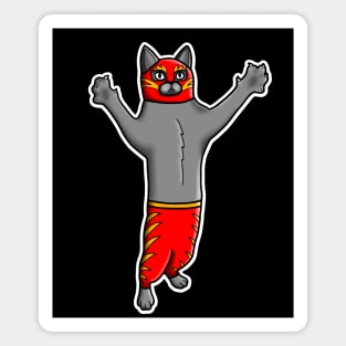 Gato Luchadore - Cat Luchador - Wrestler Kitty Magnet